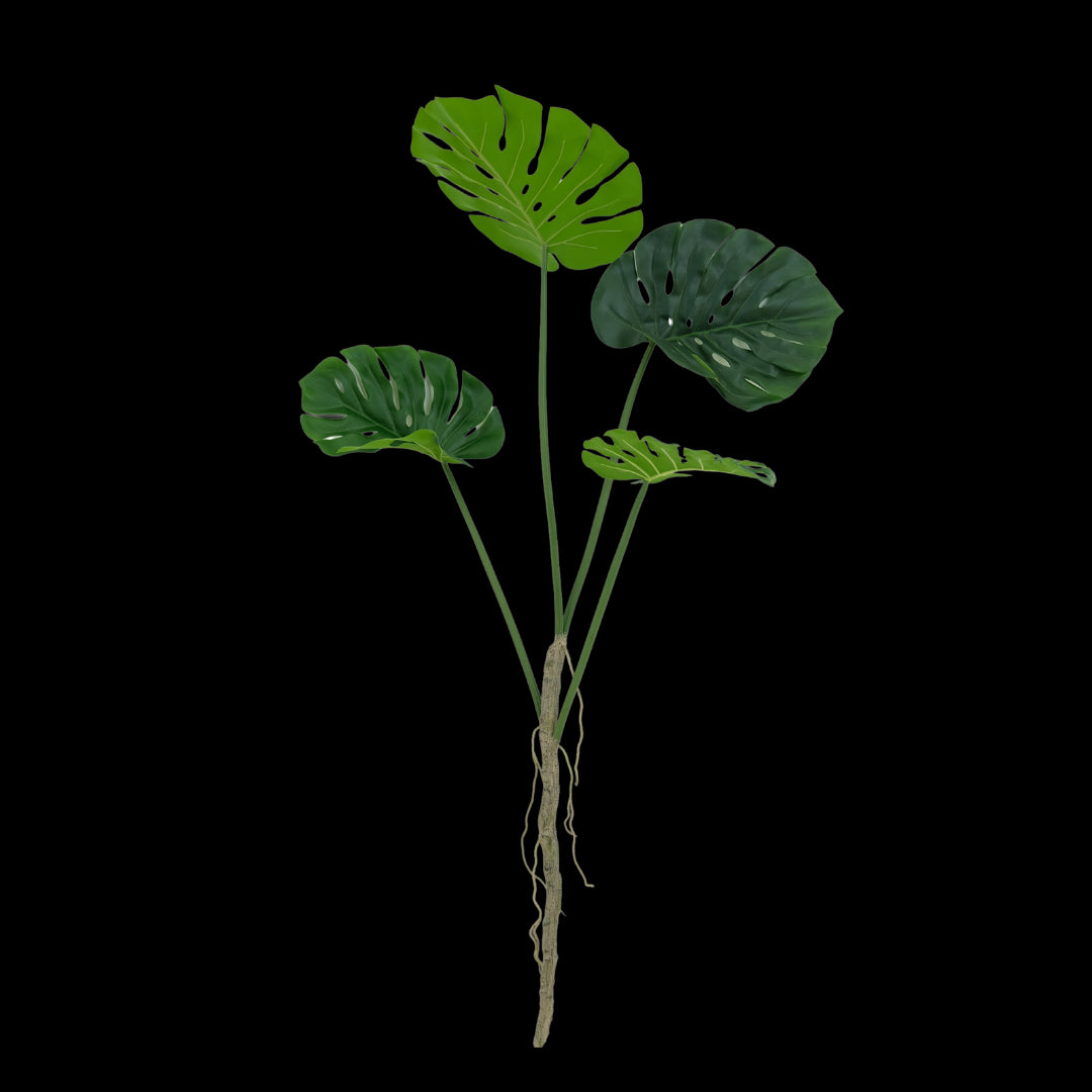 Monstera tak 140cm