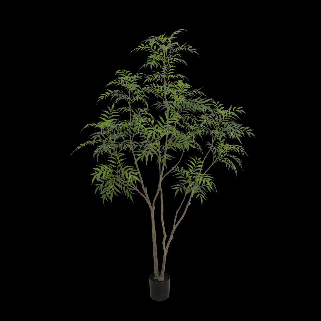 Bamboe boom 240cm