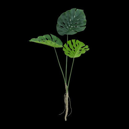 Monstera tak 120cm