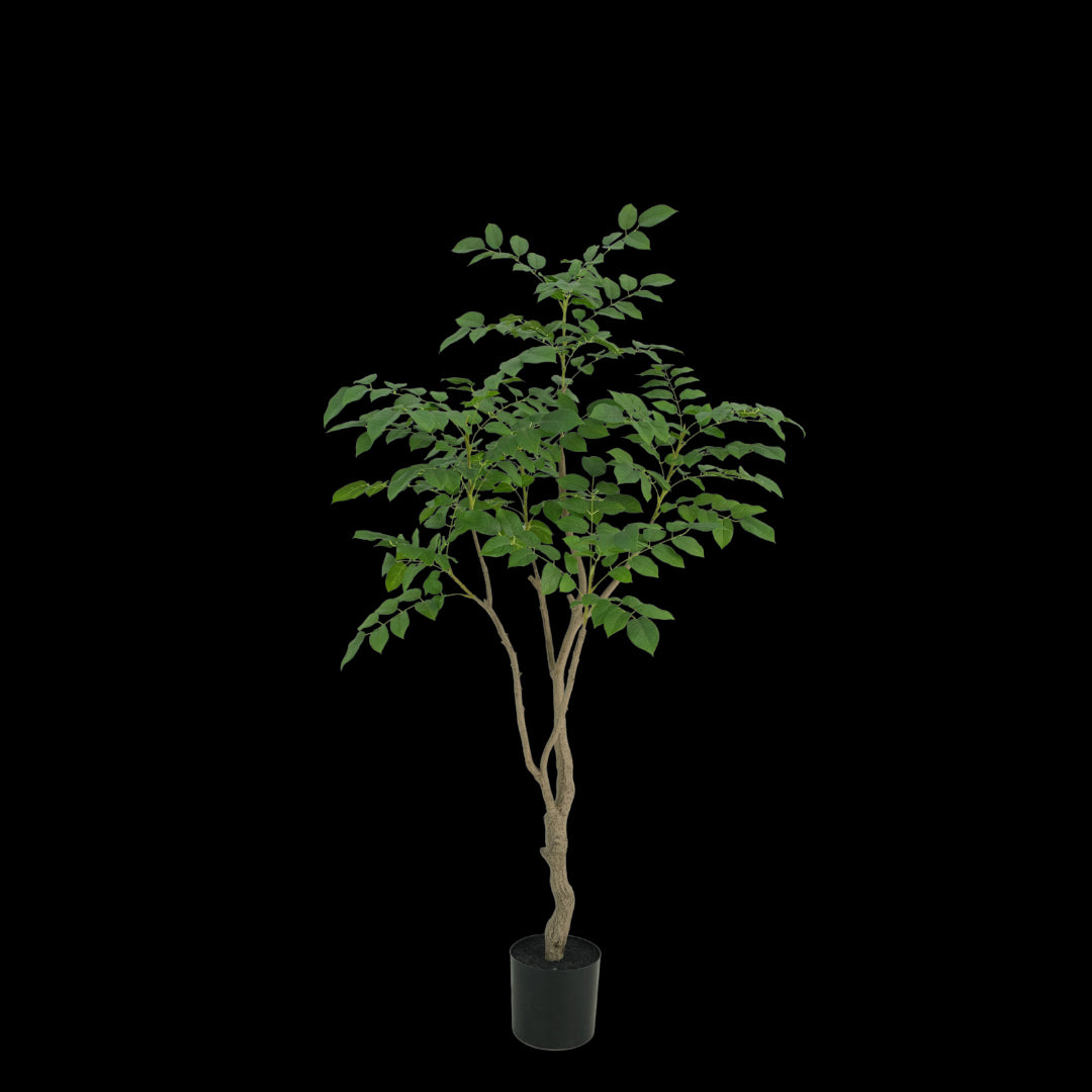 Sandalwood boom 180cm