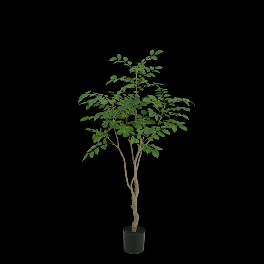 Sandalwood boom 180cm